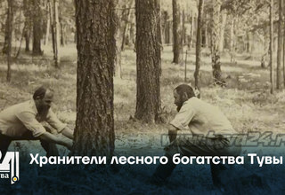 Хранители лесного богатства Тувы
