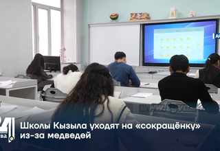 Школы Кызыла уходят на «сокращёнку» из-за медведей