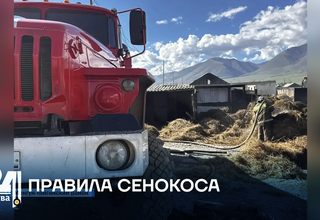 Правила сенокоса