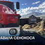 Правила сенокоса