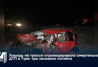 Лошадь на трассе спровоцировала смертельное ДТП в Туве: три человека погибли