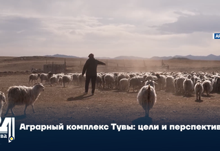 Аграрный комплекс Тувы: цели и перспективы