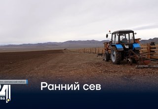 Ранний сев