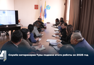 Служба ветеринарии Тувы подвела итоги работы за 2025 год