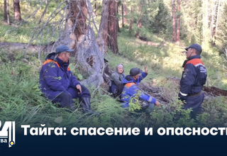 Тайга: спасение и опасность