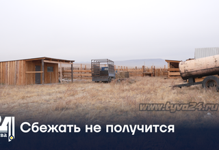 Сбежать не получится
