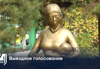 Выездное голосование