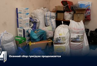 Осенний сбор гумгруза продолжается