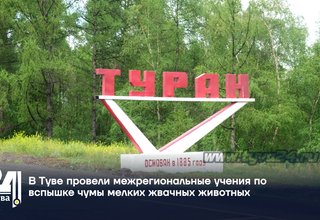 В Туве провели межрегиональные учения по вспышке чумы мелких жвачных животных