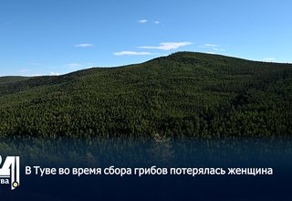 В Туве во время сбора грибов потерялась женщина