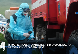 Какая ситуация с инфекциями складывается на тувинских пастбищах?