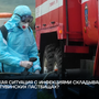 Какая ситуация с инфекциями складывается на тувинских пастбищах?