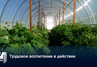 Трудовое воспитание в действии