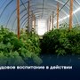 Трудовое воспитание в действии