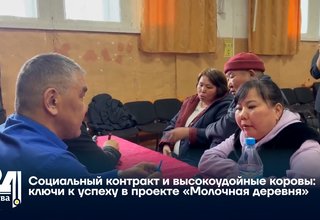 Социальный контракт и высокоудойные коровы: ключи к успеху в проекте «Молочная деревня»