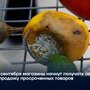 С 1 сентября магазины начнут получать автоштрафы за продажу просроченных товаров