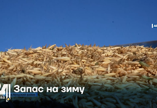 Запас на зиму