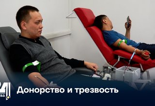 Донорство и трезвость