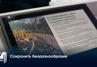 Сохранить биоразнообразие