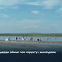 Хөлдерде айыыл чок чоруктуң хыналдазы