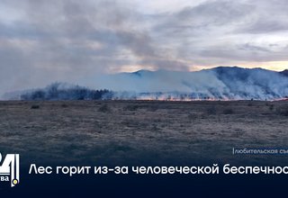 Лес горит из-за человеческой беспечности