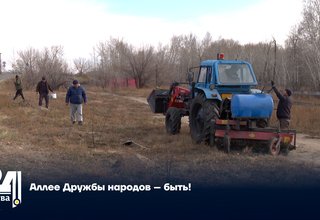 Аллее Дружбы народов – быть!
