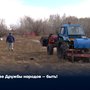 Аллее Дружбы народов – быть!