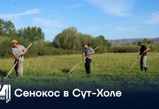 Сенокос в Сут-Холе