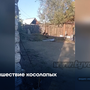 Нашествие косолапых