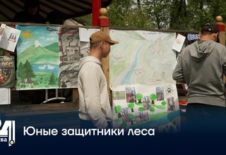 Юные защитники леса
