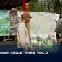 Юные защитники леса
