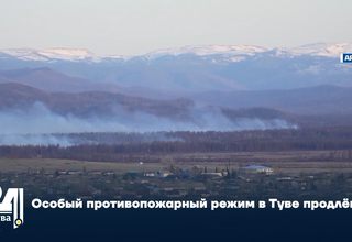 Особый противопожарный режим в Туве продлён
