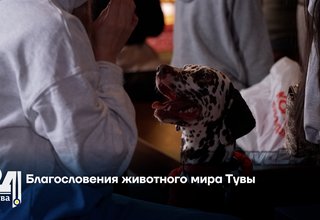 Благословения животного мира Тувы