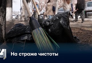 На страже чистоты