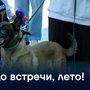 До встречи, лето!