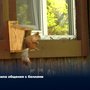 Правила общения с белками