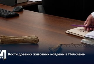 Кости древних животных найдены в Пий-Хеме