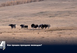Как прошел праздник яководов?