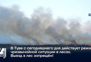В Туве с сегодняшнего дня действует режим чрезвычайной ситуации в лесах. Выезд в лес запрещён!