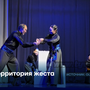 Территория жеста