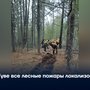 В Туве все лесные пожары локализованы