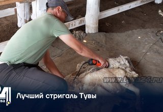 Лучший стригаль Тувы