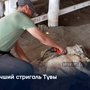 Лучший стригаль Тувы