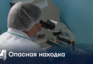 Опасная находка