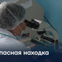 Опасная находка