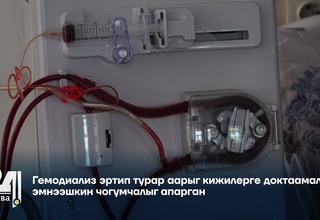 Гемодиализ эртип турар аарыг кижилерге доктаамал эмнээшкин чогумчалыг апарган