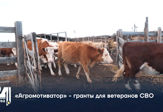«Агромотиватор» - гранты для ветеранов СВО