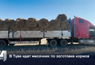 В Туве идет месячник по заготовке кормов