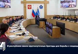 В республике ввели круглосуточные бригады для борьбы с медведями