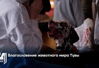 Благословение животного мира Тувы